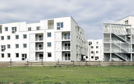 Mühlgrund II – offen für mehr