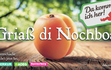 D,M&B: Da komm’ ich her