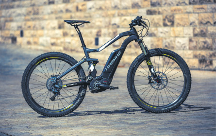 Drahteselversicherung