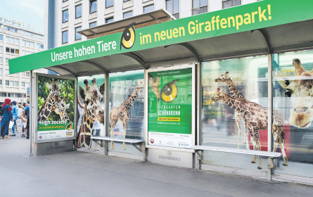 In ganz Wien sind die Giraffen los