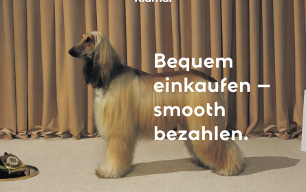 Klarna mit Re-Branding