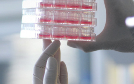 Neues Geld für Apeiron