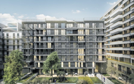 Drei (fast) auf einen Streich