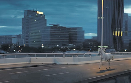 Im Galopp durch die City