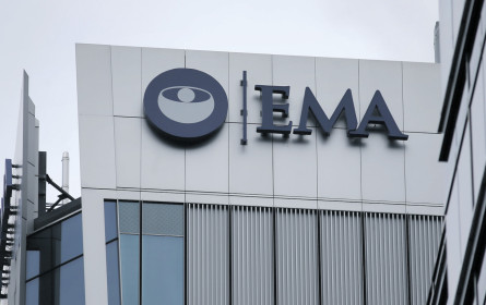 Brexit: Jetzt geht es im Finale um die Filetstücke