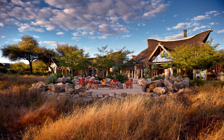 Trips in neue Reviere