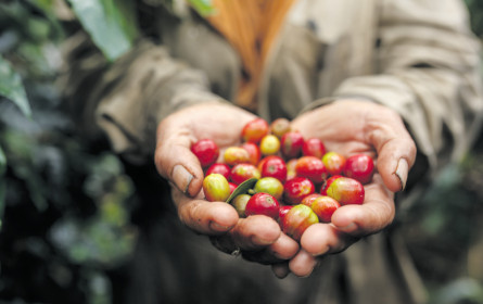 „Wir verkaufen keine Mogelpackung”