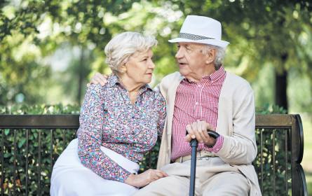 „Verfälschtes Bild”