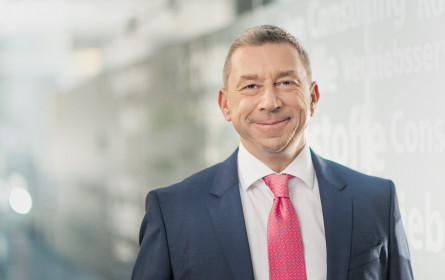 Schlauer Fuchs mit HDI