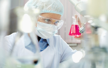 Forschung ist nach wie vor ein Risiko