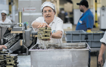 Comeback der Ölsardine