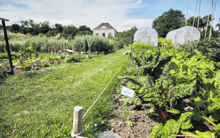 Welternährungstag am 16.10.