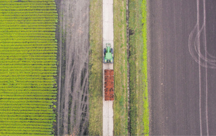 Obst & Gemüse-Export sinkt