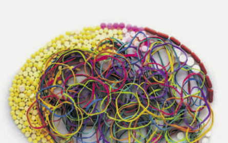 Leistungsfähigeres Gehirn