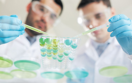 Forscher als Gründer