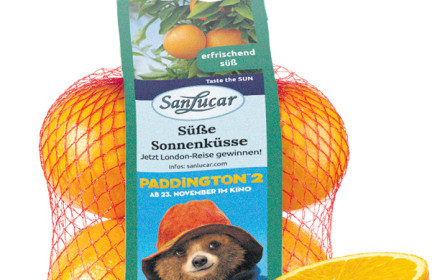 Der Bär und die Orange