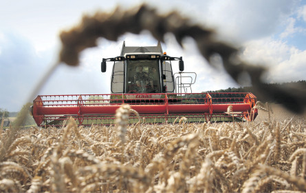 Das Kulturgut Brot ist bedroht