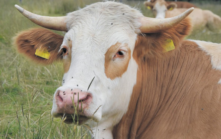 Tierschutz-kontrolliert