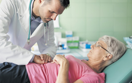 EU-Experten üben Kritik an Österreich