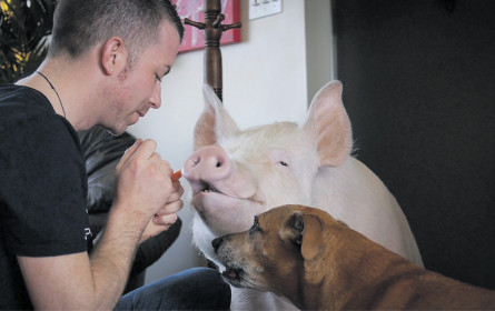 Gibt es eine Welt ohne Fleisch?