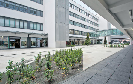 Colliers in Österreich weiter auf Erfolgskurs