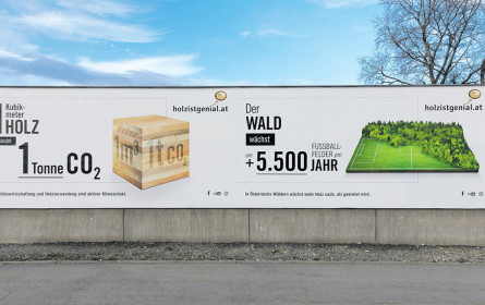 Holz ist genial-Kampagne