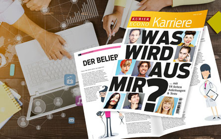 "Karriere": Aufstiegshilfe für die Karriereleiter