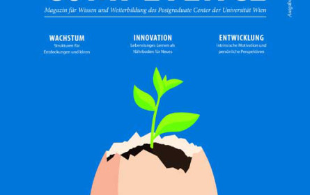 Styria Content Creation: Internationale Erfolgsstrategie