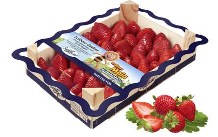 Biene Maja fliegt auf SanLucar