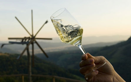 Österreichs Weinexporte im Höhenflug