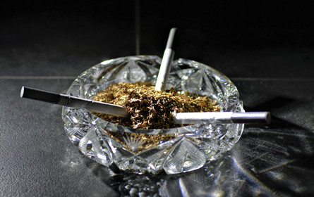 Volksbegehren: Vier Initiativen laufen aktuell im Kampf um Unterschriften