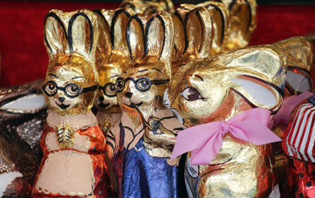 Schoko-Osterhasen im Check: Teuer heißt nicht gut