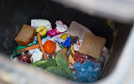 2,4 Millionen Kilo Lebensmittel gerettet