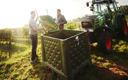 Wirtschaftskammer lädt zum Weinforum Burgenland