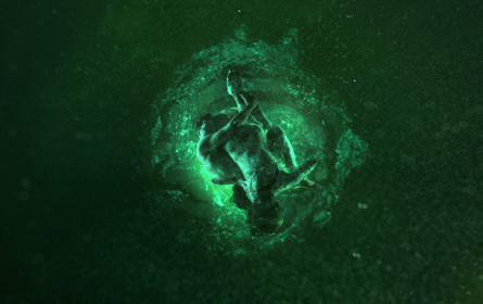 Römerquelle belebt die Sinne mit neuer Kampagne