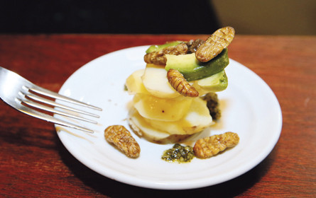 Das große Krabbeln bei Metro