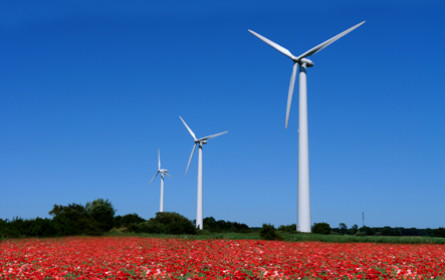 myWorld Austria baut verstärkt auf Umweltschutz