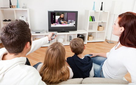 TV-Quoten im Mai: Private leicht im Plus, ORF mit Rückgang