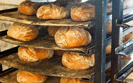 Bessere Regeln für EU-Lebensmittel gefordert