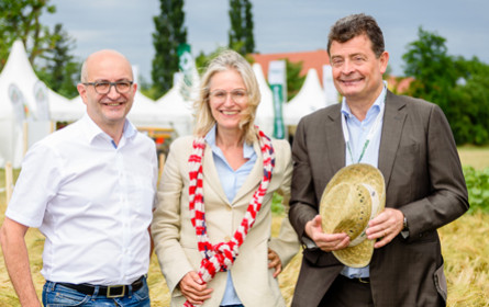 Ja! Natürlich für gesunden Boden