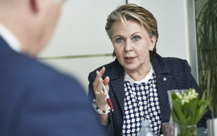 „Europa, das schützt“