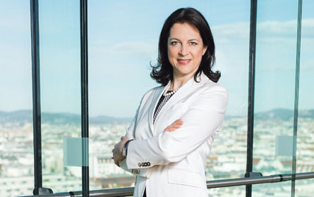 Private Public Value