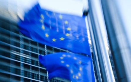 Foodwatch: Verbraucher in EU nicht vor Lebensmittelskandalen sicher