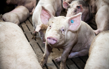 Letztendlich zahlen wir alle sehr wohl den Preis