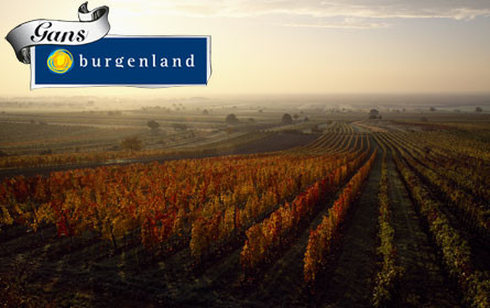 Gans Burgenland: Genuss mit viel Sonne drin