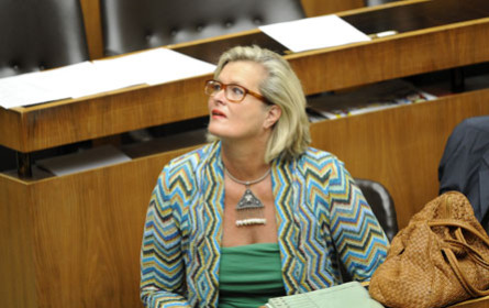 Aufregung um Aussagen Plassniks über die Schweiz