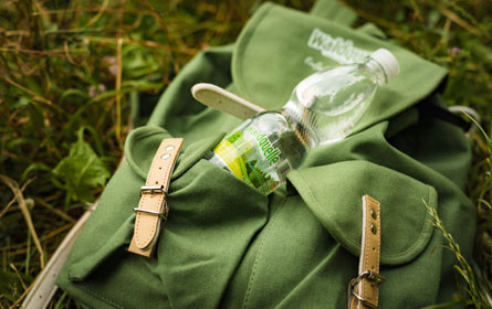 Waldquelle lädt zum Wandertag