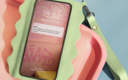 Klarna will Shopping-Frust vermeiden