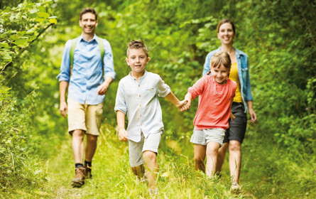 Waldquelle Wandertag: Erlebnis-Programm in der Natur