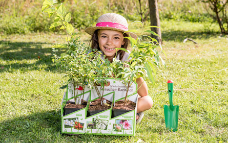 Heimische Pflanzenraritäten zurück in den Garten